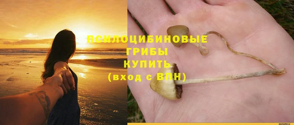 apvp Балабаново