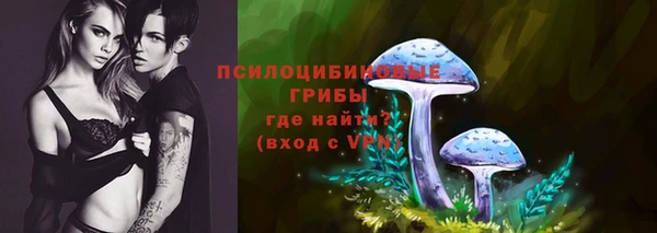 apvp Балабаново
