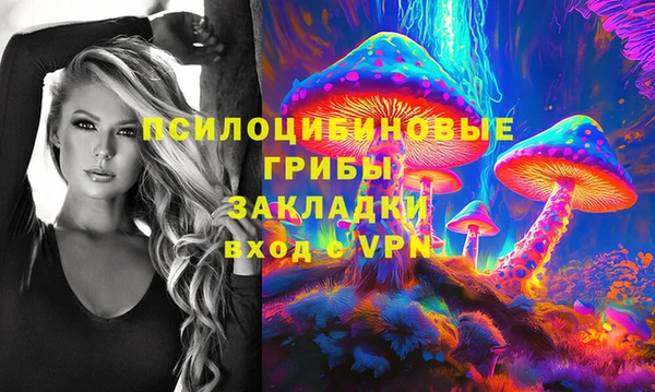 apvp Балабаново
