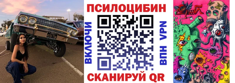 Псилоцибиновые грибы мицелий  Бобров 